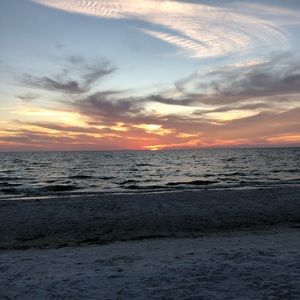 Meet your Posher, Violet